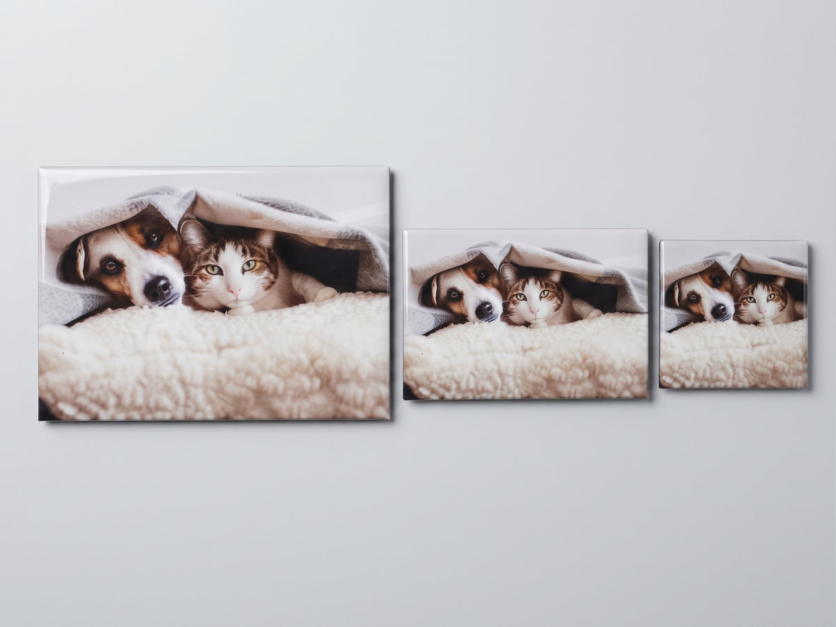 Extra Large Photo Magnet (90x65)